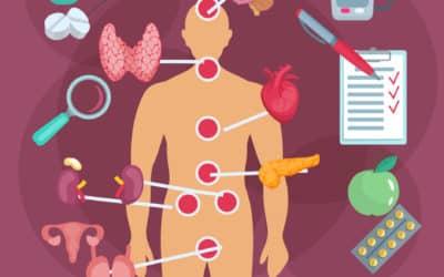 ¿Qué son las Glándulas Endocrinas?