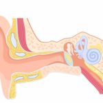 Dolor de oídos en niños: Causas, tratamiento y cómo evitarlo