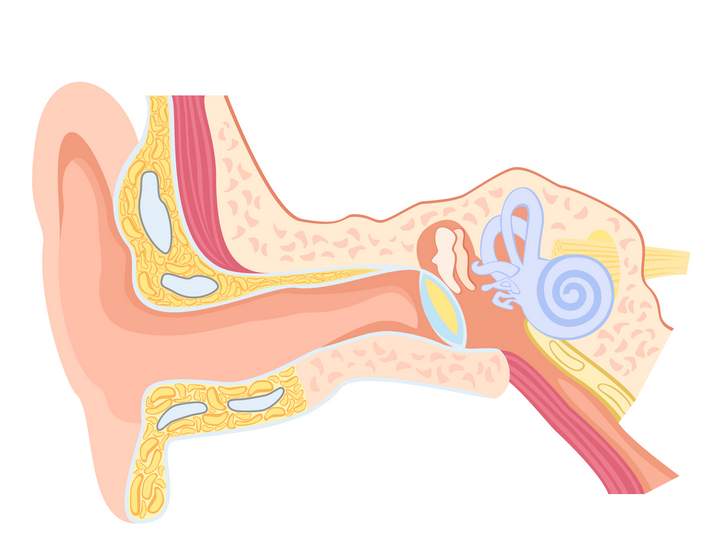 Dolor de oídos en niños: Causas, tratamiento y cómo evitarlo