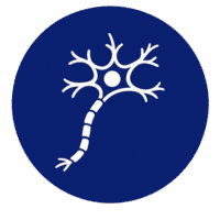Neurología