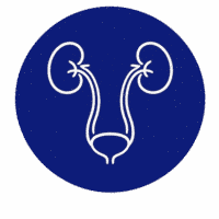 Urología