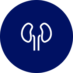 Urología